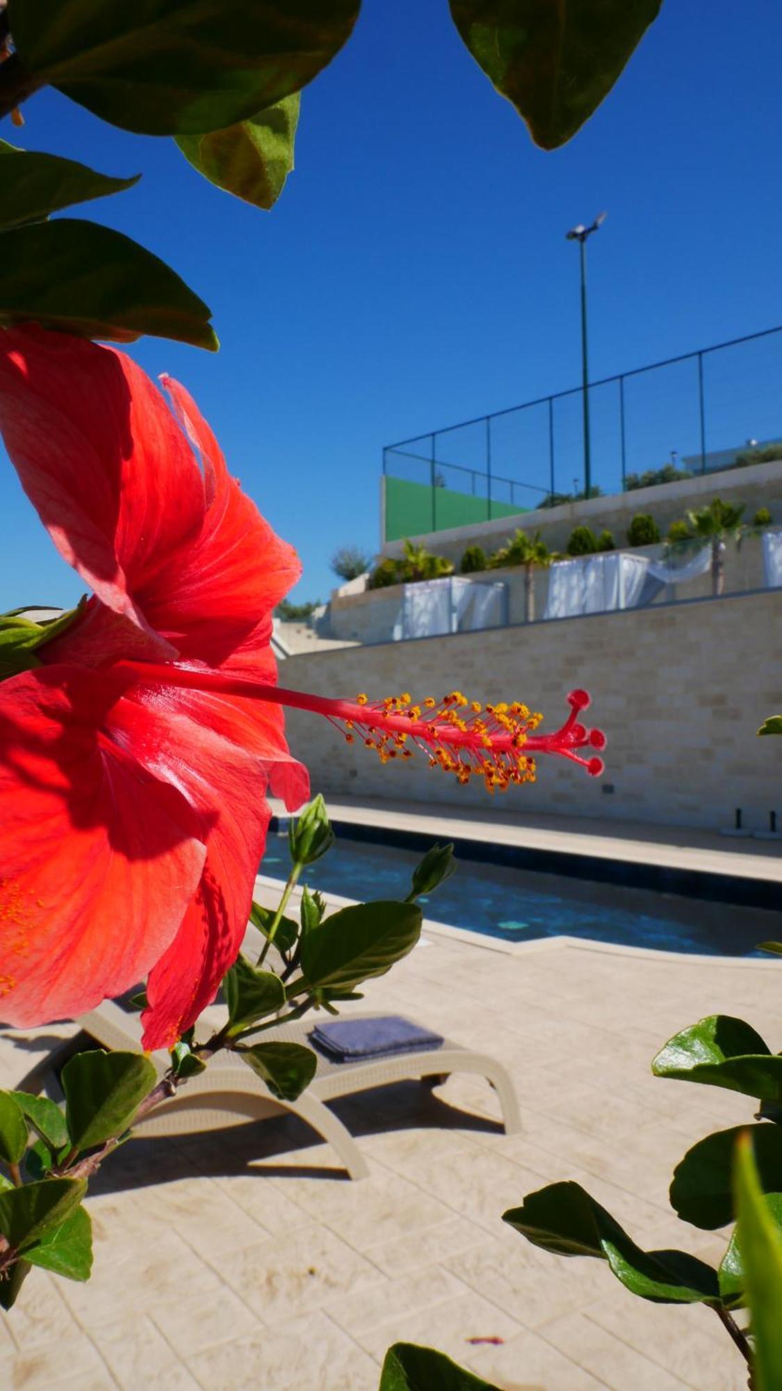 Amour Relax Hotel Almirida Exteriér fotografie
